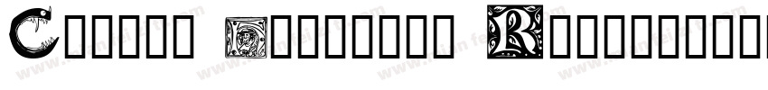 Caslon Initials Regu字体转换